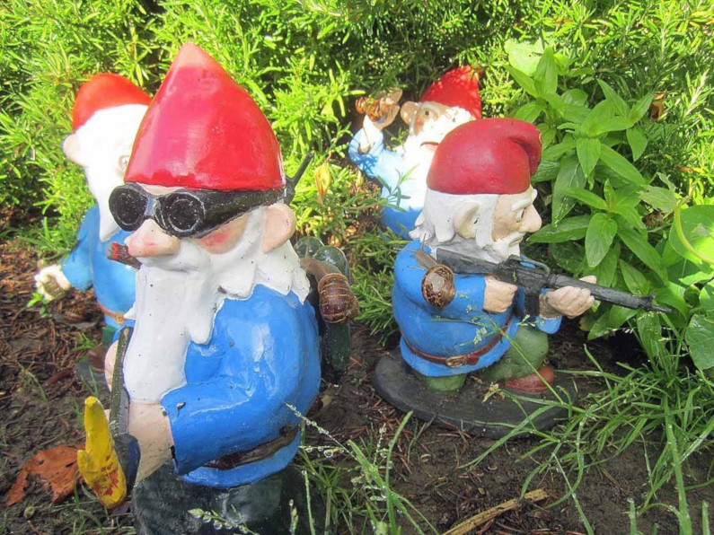 Combat Gnomes