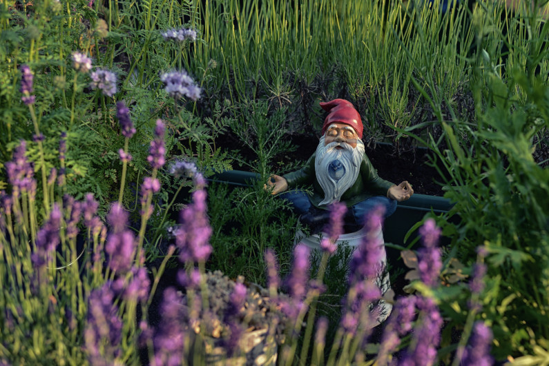 Gnome Meditating