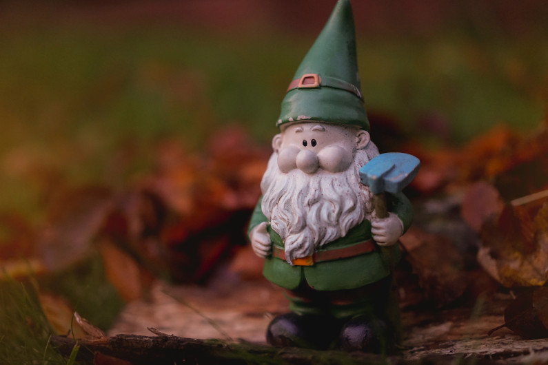 Gnome History