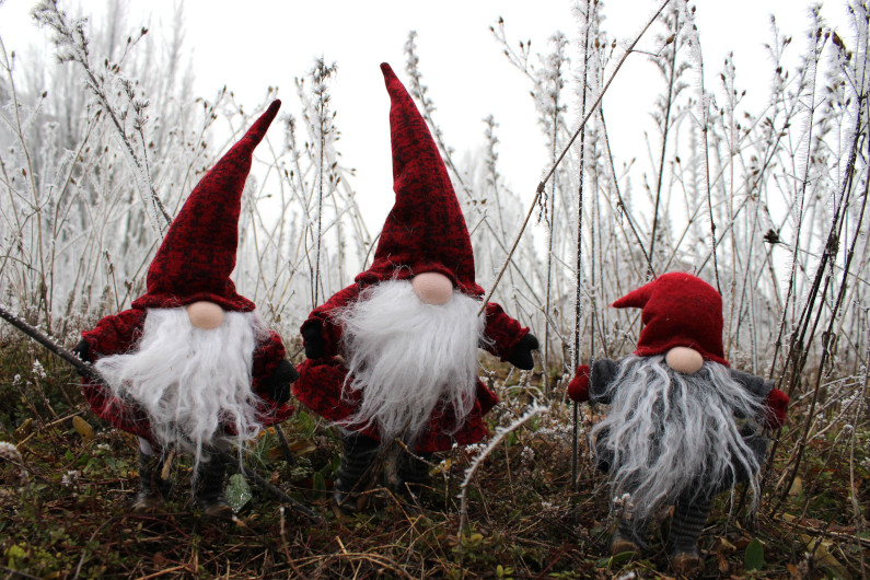 Three Gnomes Outside